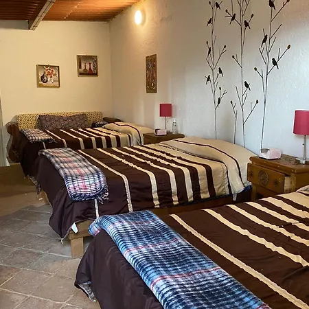 Jardin Quinta Las Fuentes Cabanas, Valsequillo. Puebla Exterior photo
